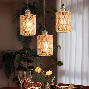 Amazon.co.jp : LVWIT ペンダントライト E26口金 引掛け式 ダクト