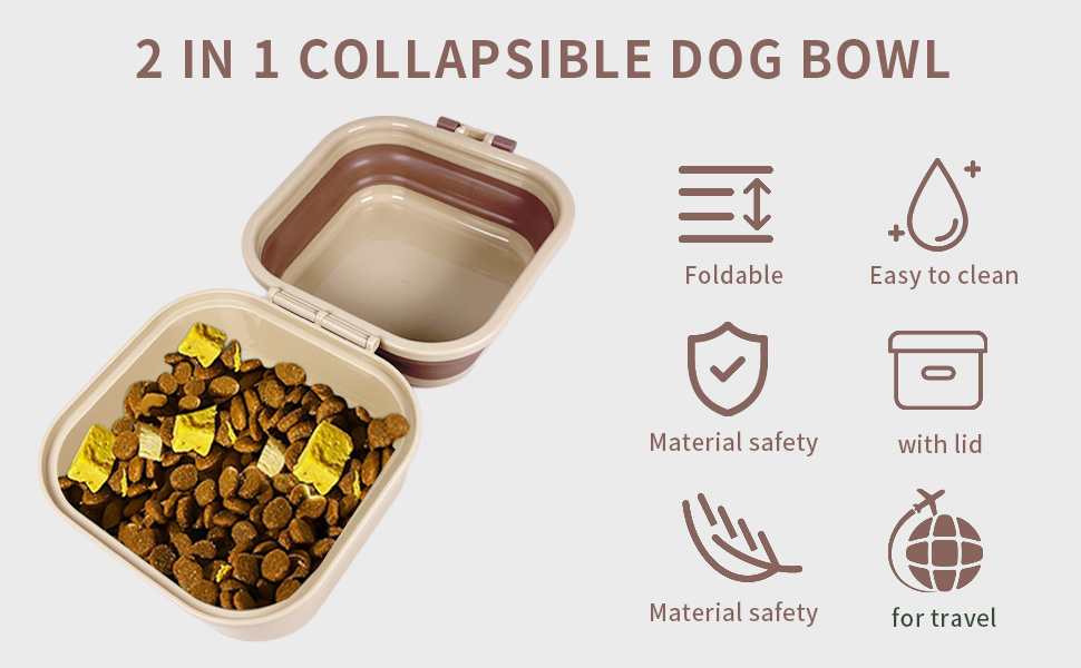 Collapsible Travel Dish