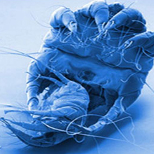 Small manufacture image 7