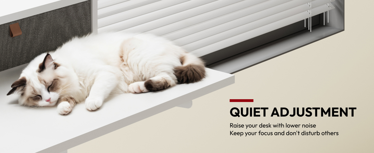 L Shaped Standing Desk with Drawers