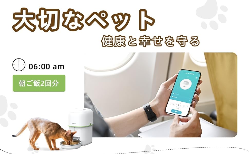 自動フィーダー猫