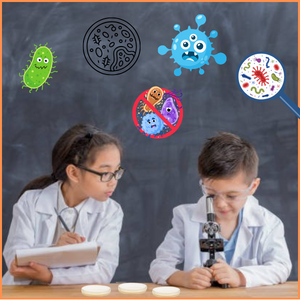 safest plates orange frame