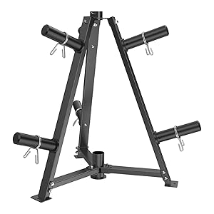 weight plate rack