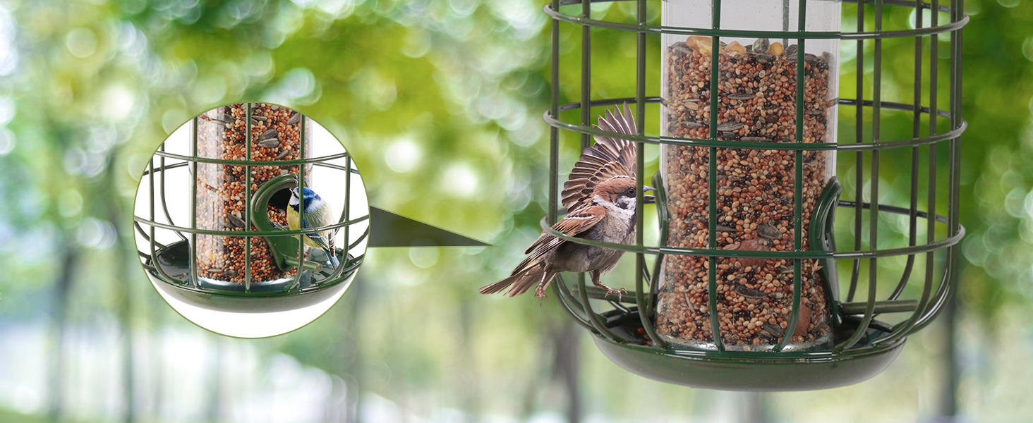 BIRD FEEDERS