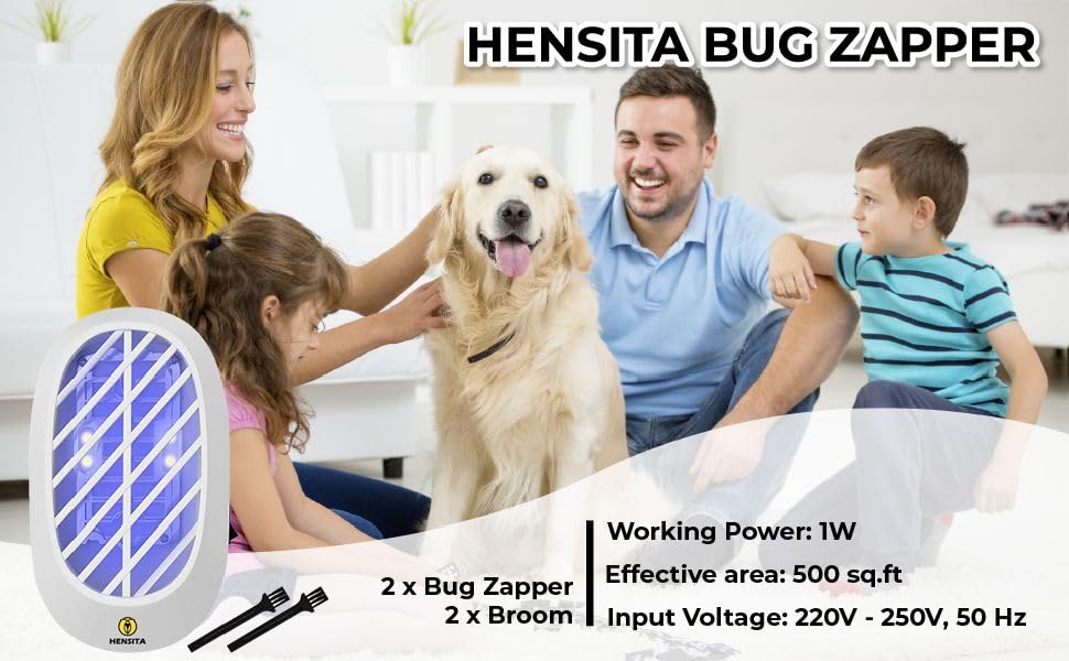 Bug Zapper