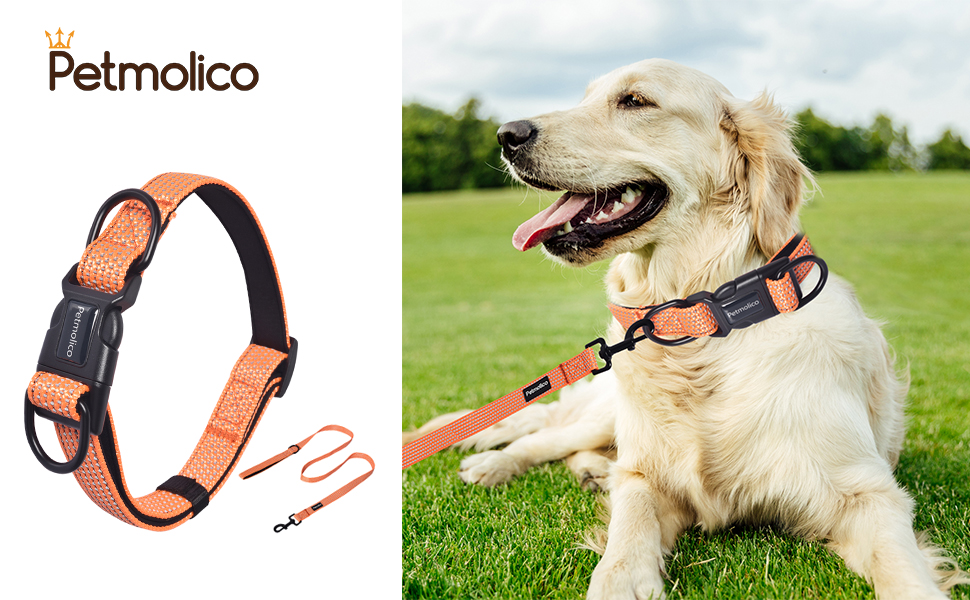 Petmolico Reflective Dog Collar and Leash Set, Neoprene