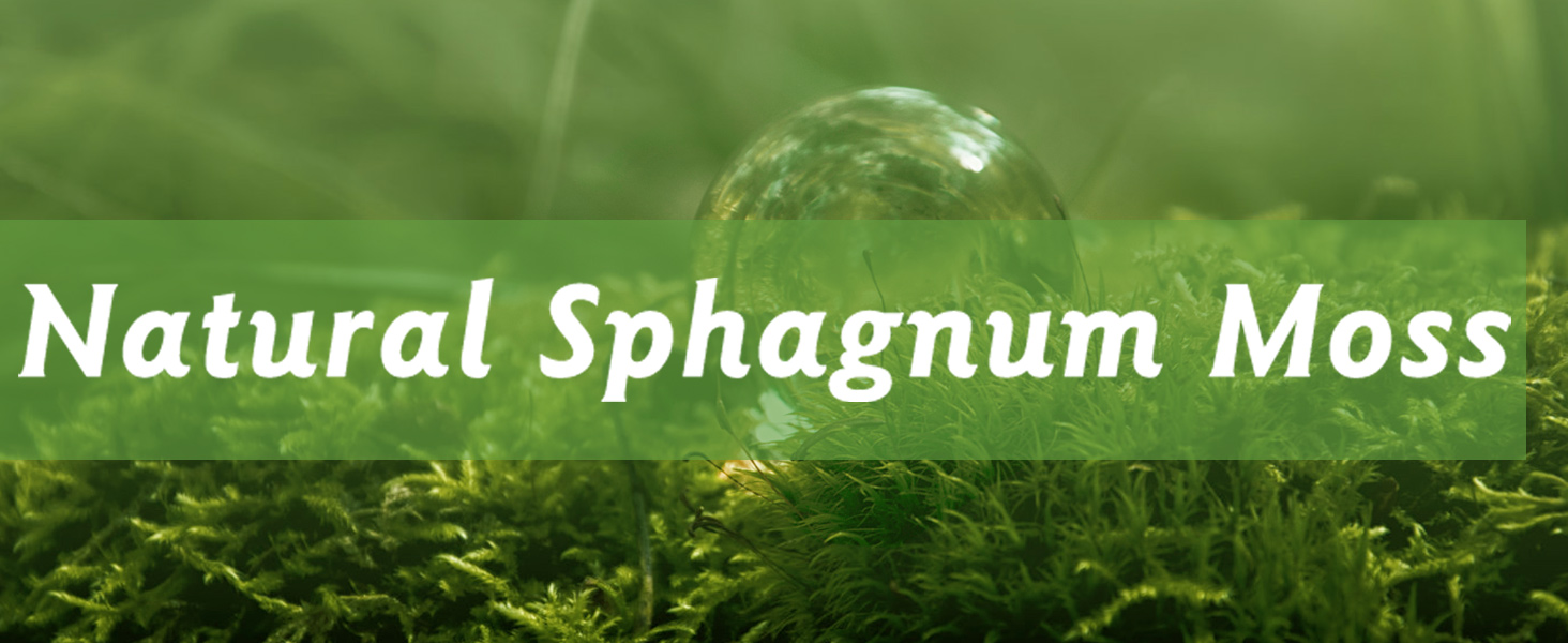 sphagnum moss