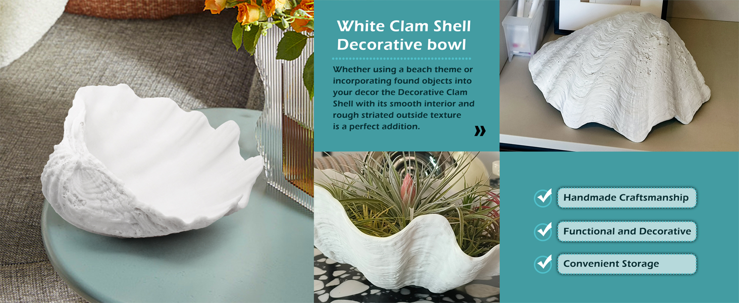 Extra-Large-Clam-Shells-Decorative-Bowl-w