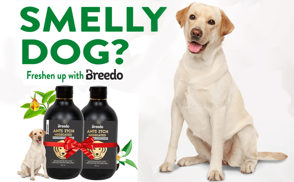 Buy Breedo AntiItch Dog ShampooDitch to Itch 500ml Dog Shampoo for