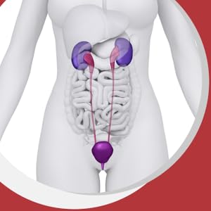 UPGEVIT Cranberry 800mg For Urinary Tract Health Support Dietary Supplement SPN-FOR1