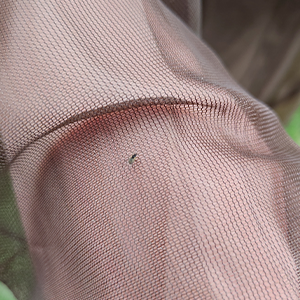 Description Picture 5 of itemAventik Anti-mosquito Jacket Outdoor Ultralight 2000 Mesh Hooded Bug Jacket Net Protective Shirt Insect Shield Camping Fishing