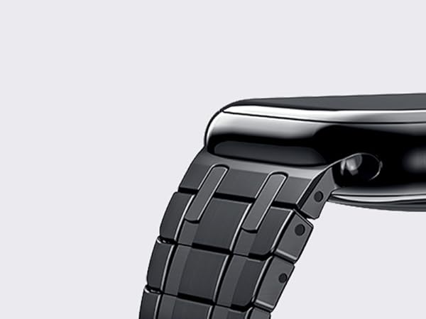 BELTIES ベルティス　メタルフレーム　デュアルラインマグネットバンド　黒 Apple Watch BELTIES ベルティーズ アップルウォッチ バンド