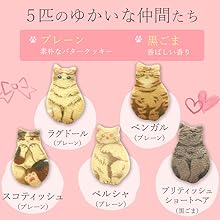 にこさんのねこさん　ティーフォーワン にこさんのねこさんティーフォーワン