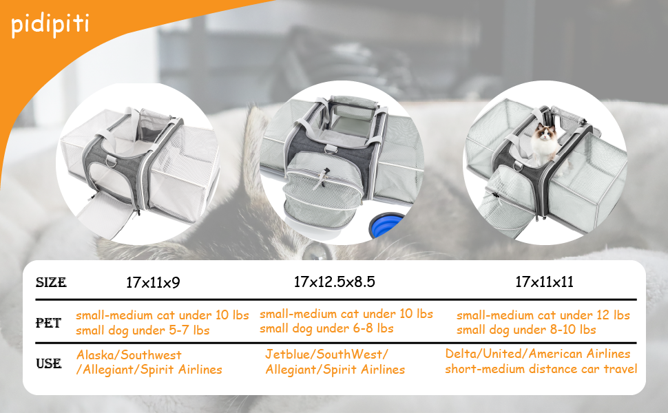 17L*11W*9H Alaska Southwest Allegiant Spirit Airlines