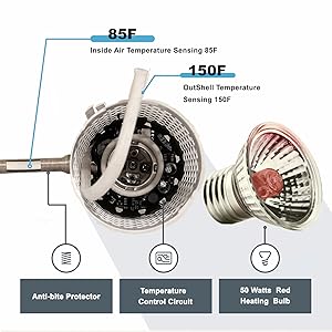 Heating lamp introduction
