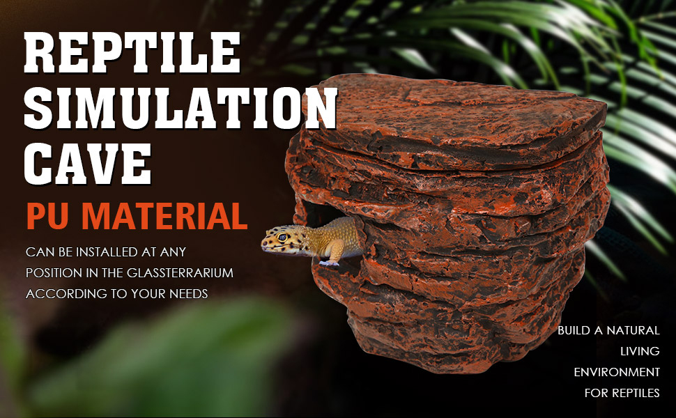 reptile cave