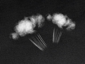 shoe storage organizer