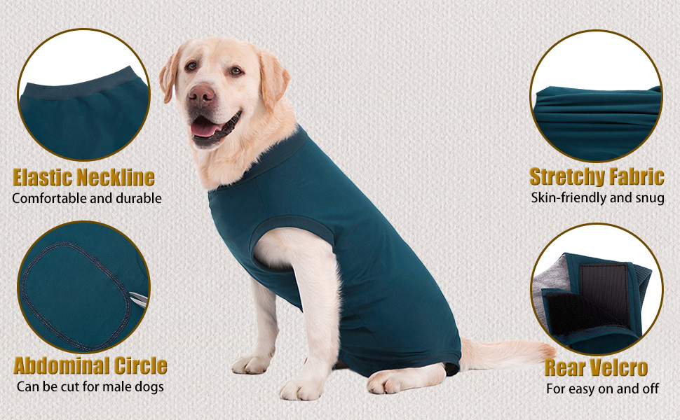 dog surgical suit