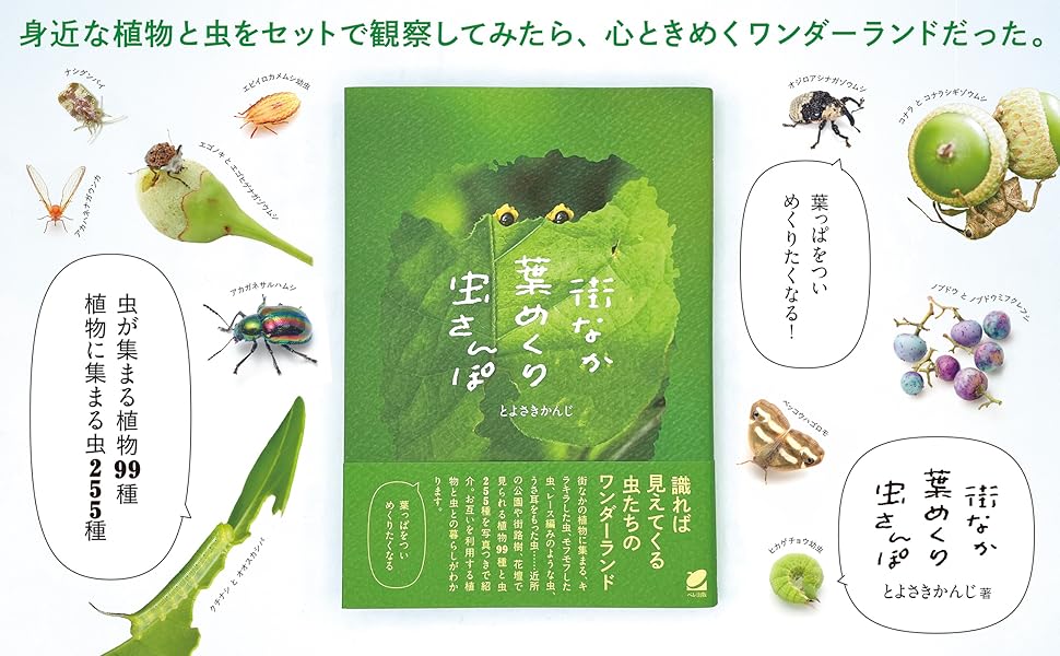 ナガシマくん　良品　虫プロ　虫コミ　スリップ葉書広告付　非貸本　わちさんぺい 月刊むし 652 (発売日2025年05月26日) | 雑誌/定期購読の予約は