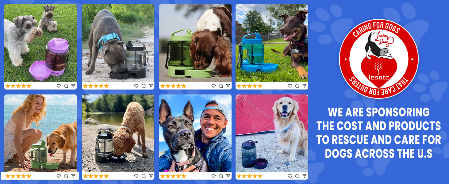 travel dog water bowl dog travel water bottle travel water bowl for dogs portable water bowl for dog