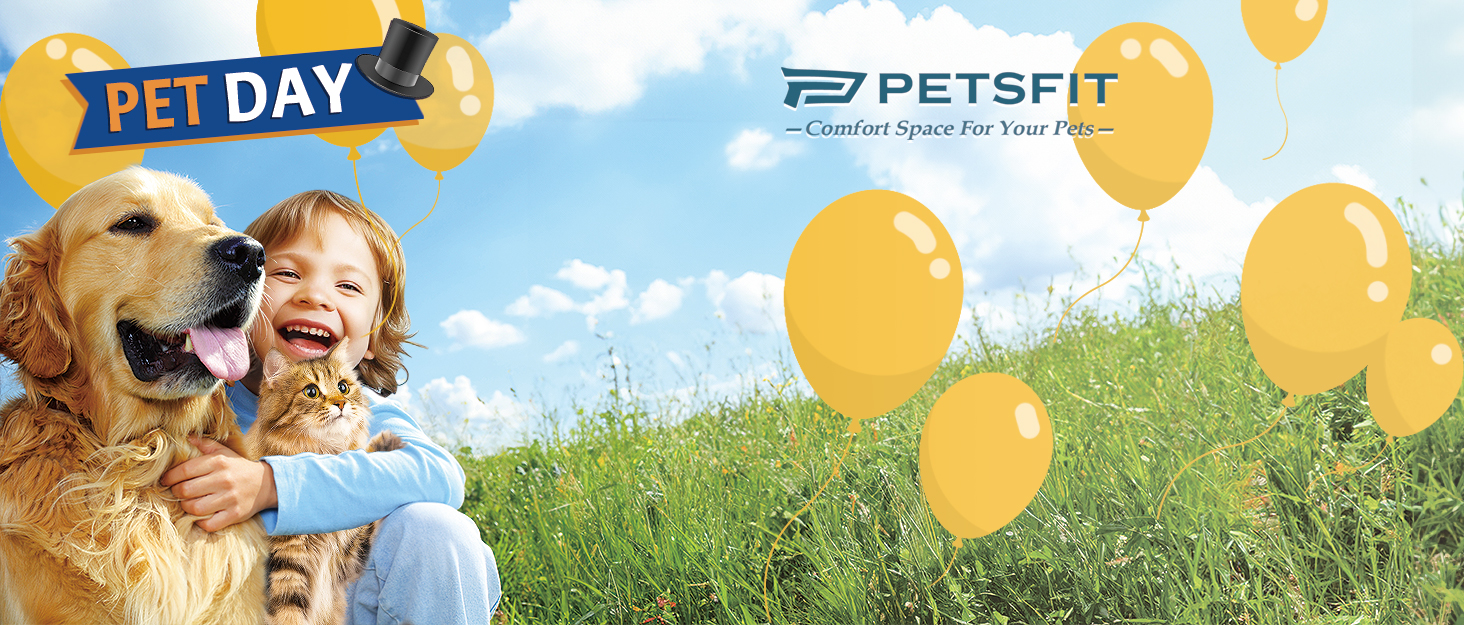 hundetasche katzentasche