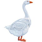 animal stickers for toddlers 