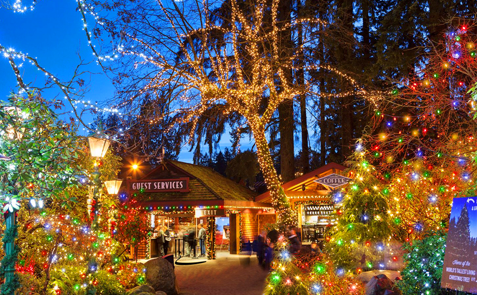 QHLXJYY 98FT Outdoor Christmas Lights 300 LED Christmas Lights with 8