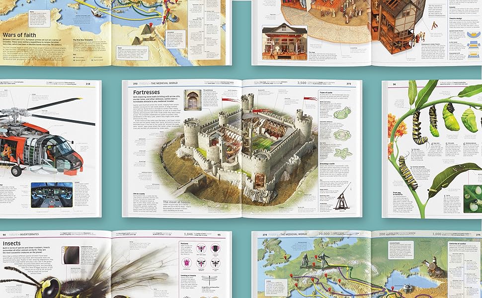 Large manufacture image 3