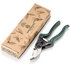 attractive gift box