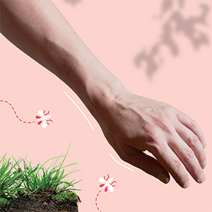 Small manufacture image 1
