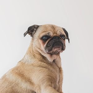 Small manufacture image 9