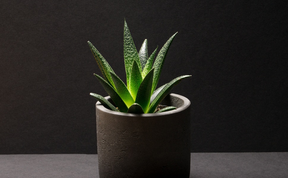 Large manufacture image 5