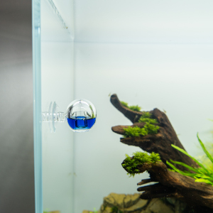 Gute Figur im Aquarium