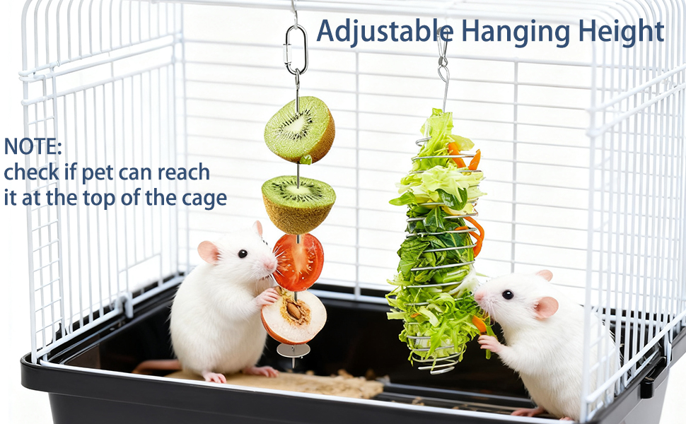 rat cage accessories