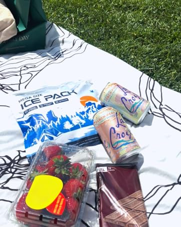frostvolt ice packs for picnics