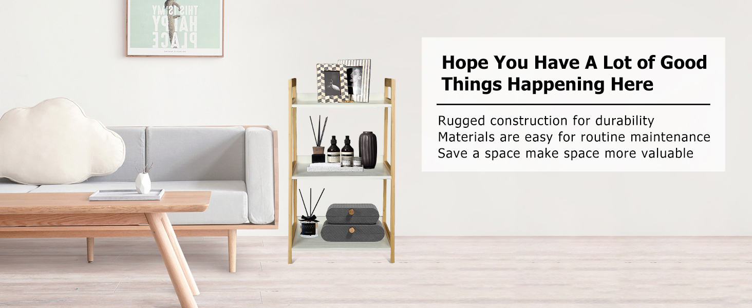 3Tier Ladder Shelf Modern Style Shelf, Ladder