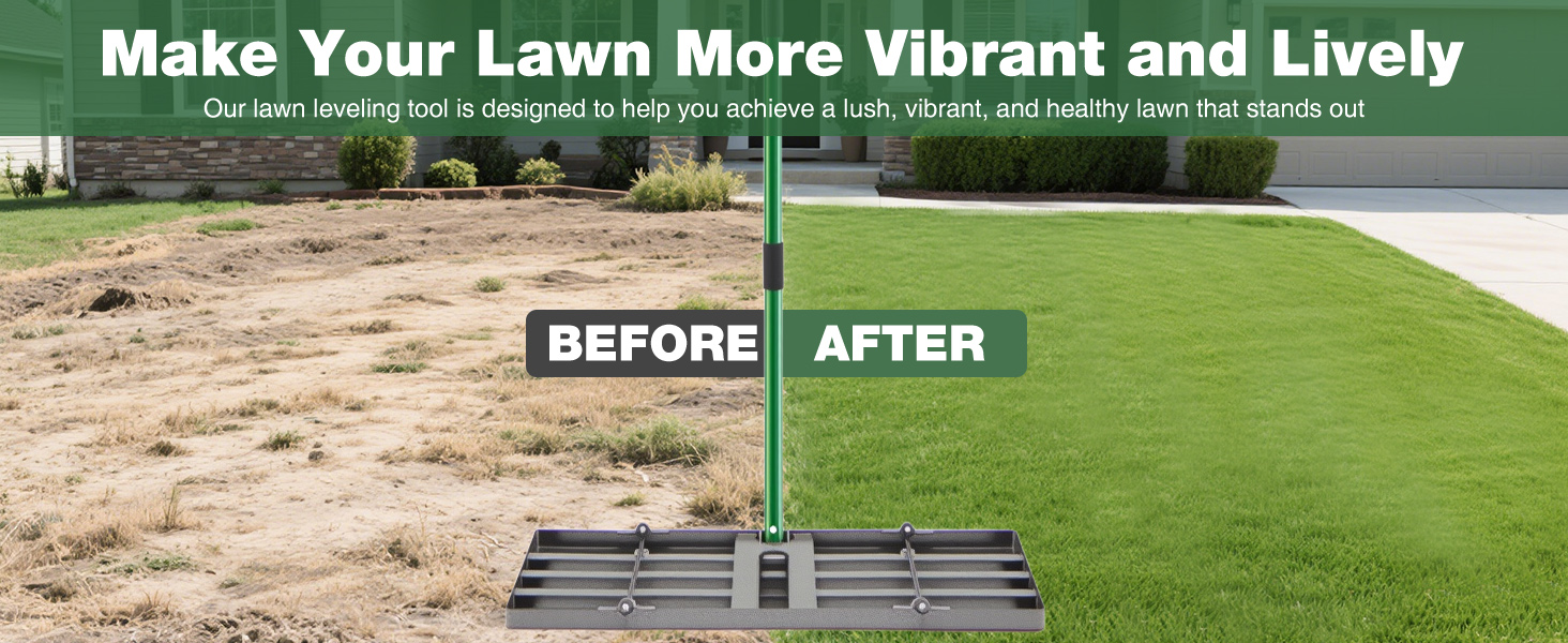 Make Your Lawn More Vibrant and Lively 