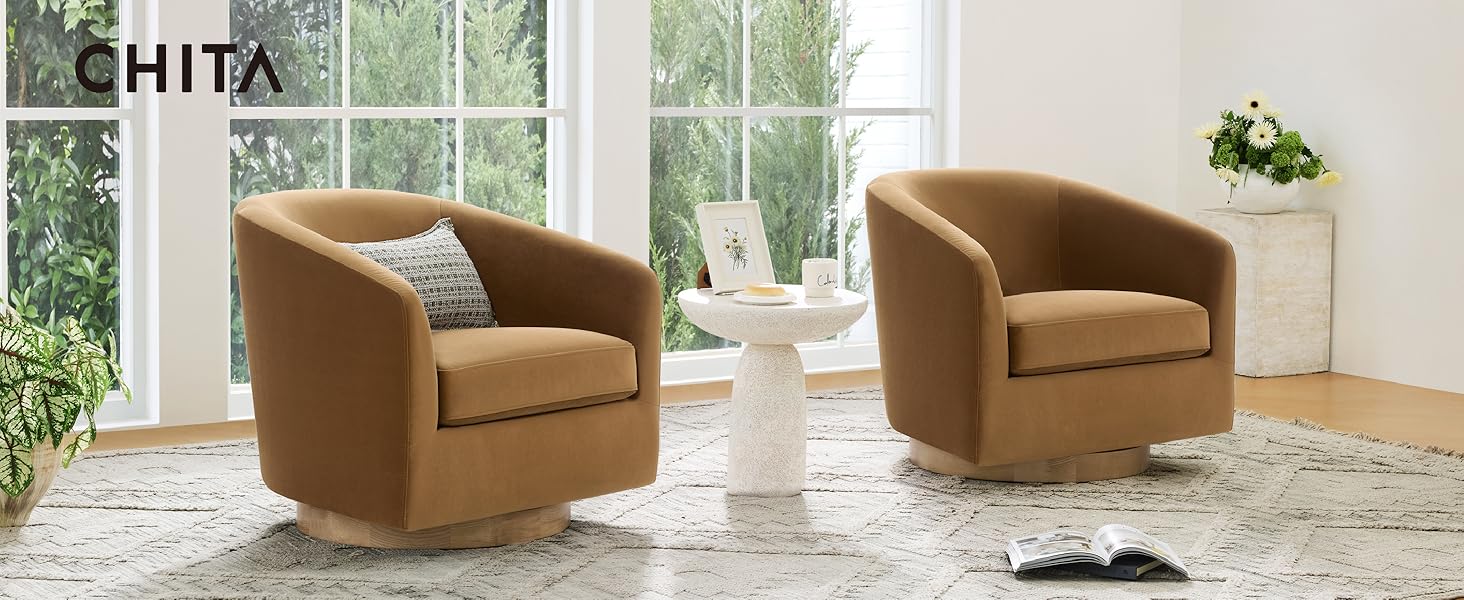 CHITA Accent Chairs for Living Room