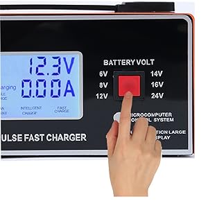 8v golf cart battery charger