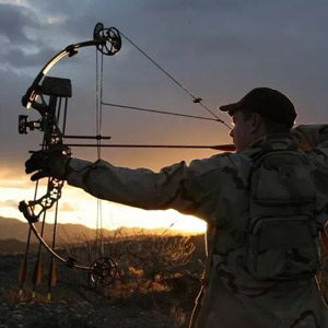 Sinbadteck Hunting broadheads 3blades