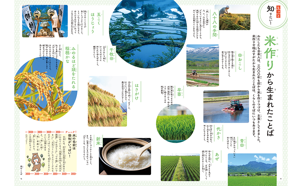 あじページ 日本のことばずかん あじ | 神永 曉 |本 | 通販 | Amazon
