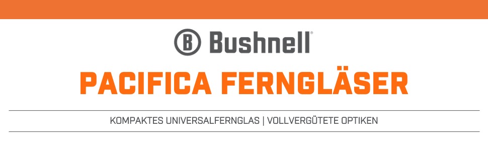 Pacifica dürbün başlığı