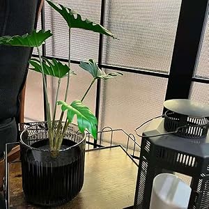 Desk Tray Organiser 4