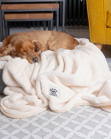 Cocker Spaniel Lay On A Cream Elite Paws Blanket
