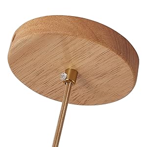 modern style pendant light