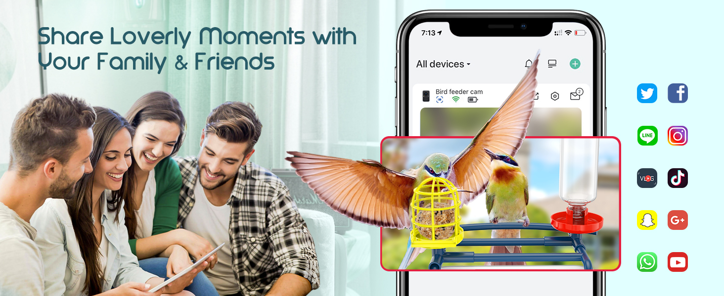 bird feeder for children