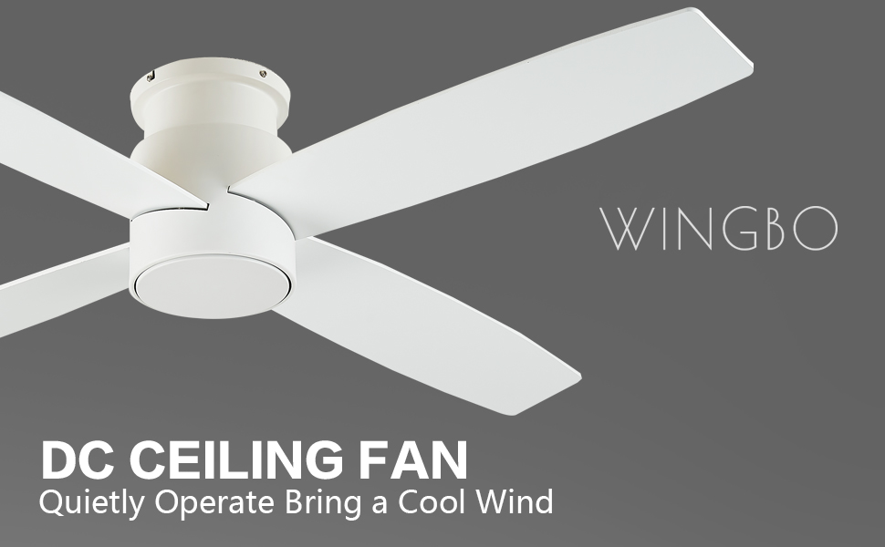 ⭐️AOKI MegaHouse One Piece Aokiji Kuzan 1/8 Figure POP Edition-Z