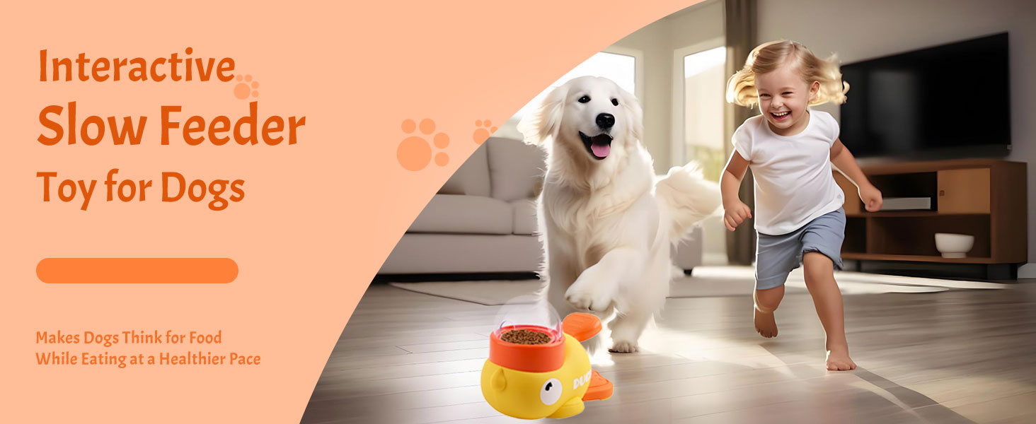 slow feeder toy for dogs