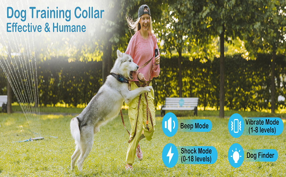 Collar de entrenamiento para perros