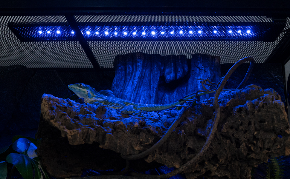 REPTI ZOO Upgraded UVB LED Reptile Light